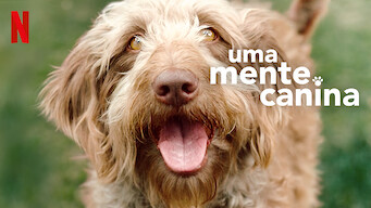 Uma Mente Canina (2020)